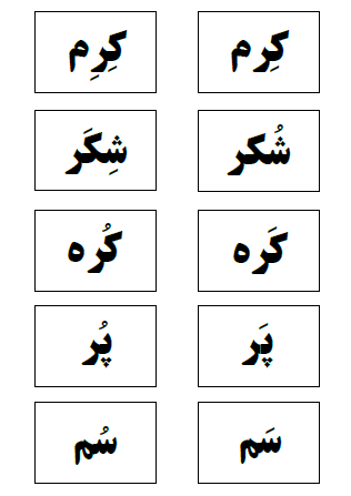 این برگه‌ها که شامل کلماتی که از نظر نوشتاری یکسان ولی از نظر آوایی متفاوت هستند را می‌توانید در قطعات کوچک به صورت تصادفی دانش‌آموزان بدهید و بچه‌ها با برگه‌ای که در دست دارند جمله می‌سازند‌‌.